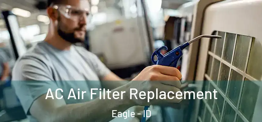  AC Air Filter Replacement Eagle - ID