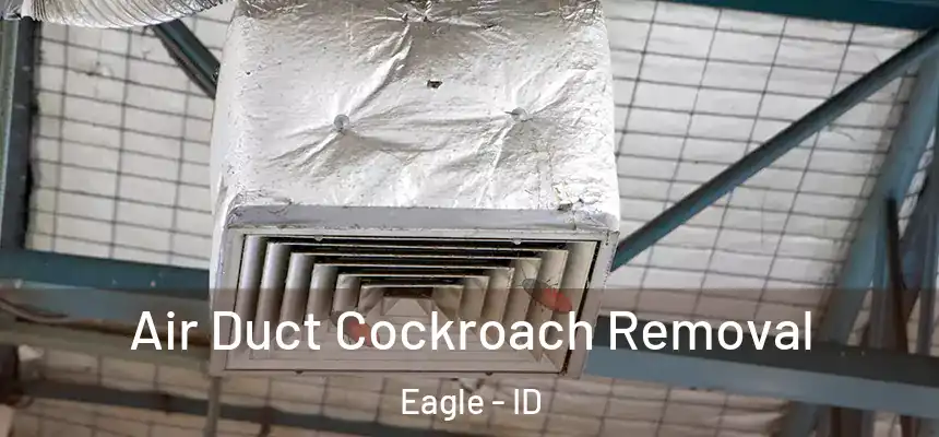Air Duct Cockroach Removal Eagle - ID