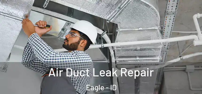 Air Duct Leak Repair Eagle - ID