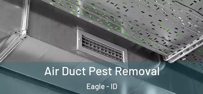  Air Duct Pest Removal Eagle - ID