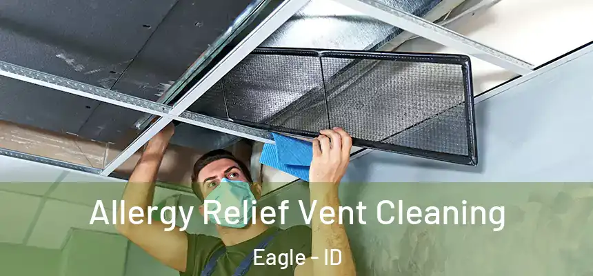 Allergy Relief Vent Cleaning Eagle - ID