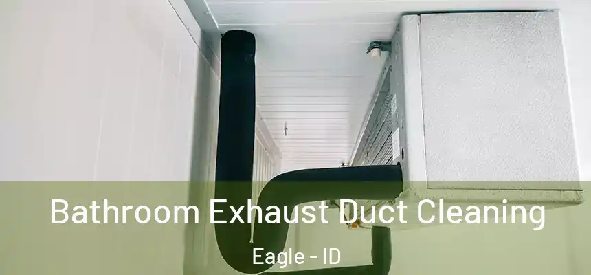  Bathroom Exhaust Duct Cleaning Eagle - ID