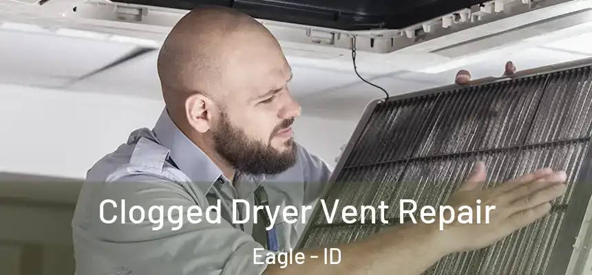 Clogged Dryer Vent Repair Eagle - ID