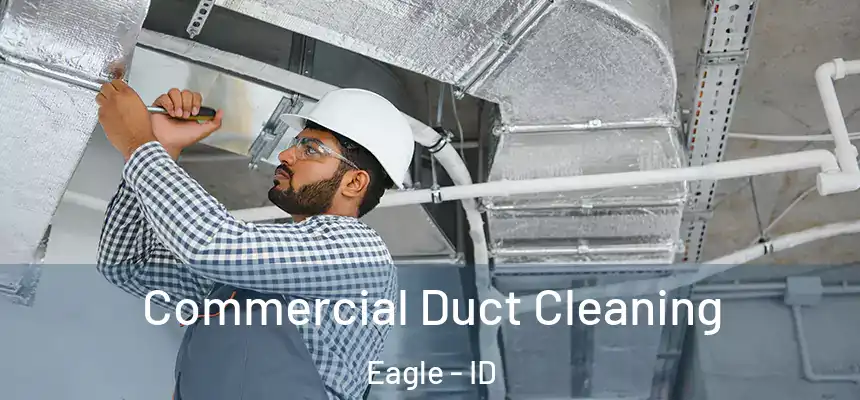  Commercial Duct Cleaning Eagle - ID