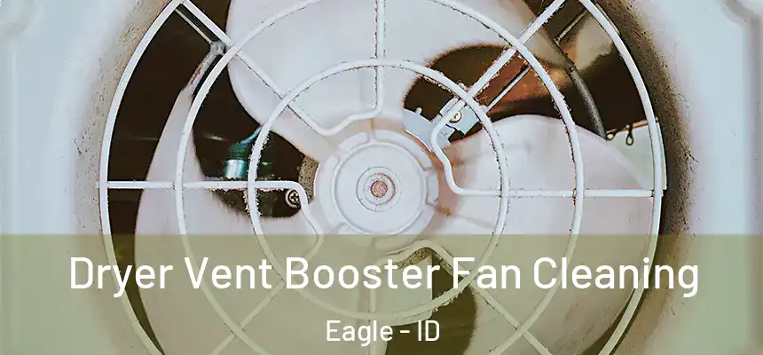Dryer Vent Booster Fan Cleaning Eagle - ID