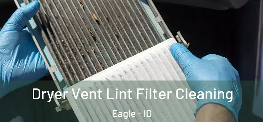 Dryer Vent Lint Filter Cleaning Eagle - ID