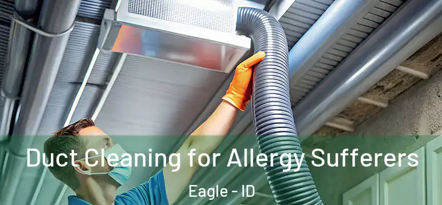  Duct Cleaning for Allergy Sufferers Eagle - ID
