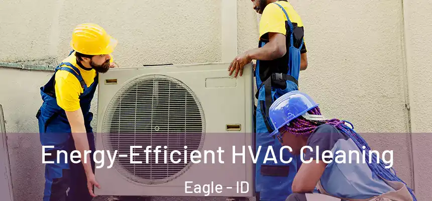  Energy-Efficient HVAC Cleaning Eagle - ID