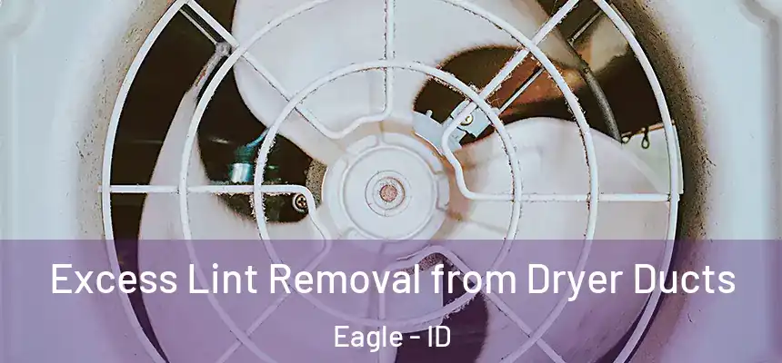  Excess Lint Removal from Dryer Ducts Eagle - ID
