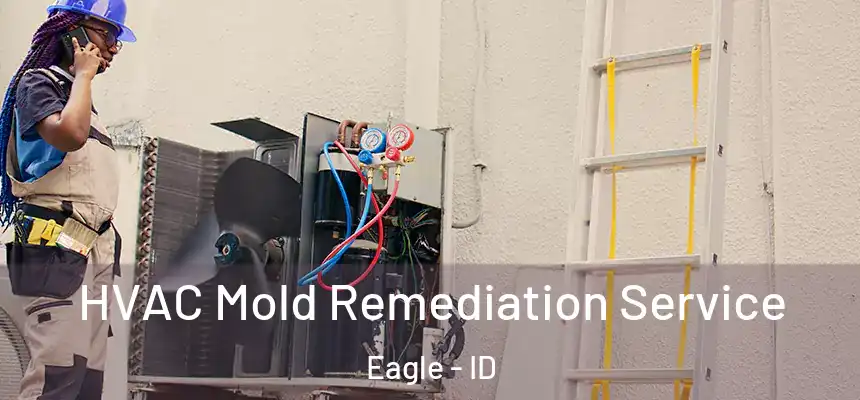 HVAC Mold Remediation Service Eagle - ID