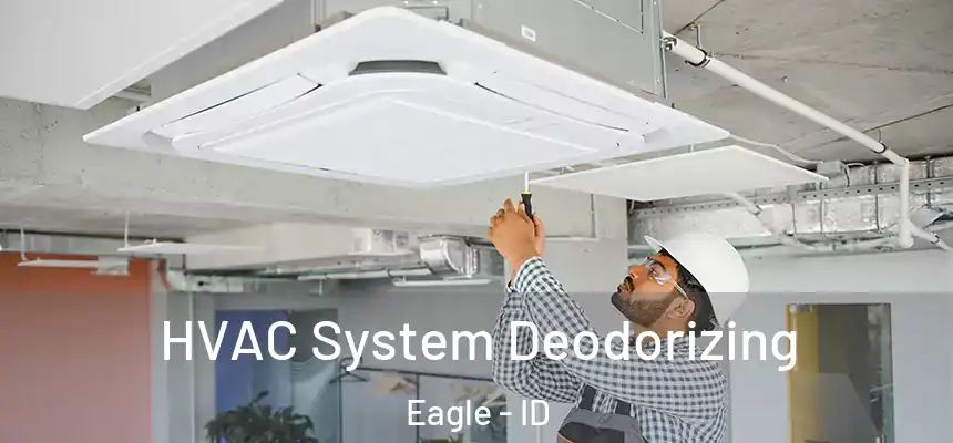  HVAC System Deodorizing Eagle - ID