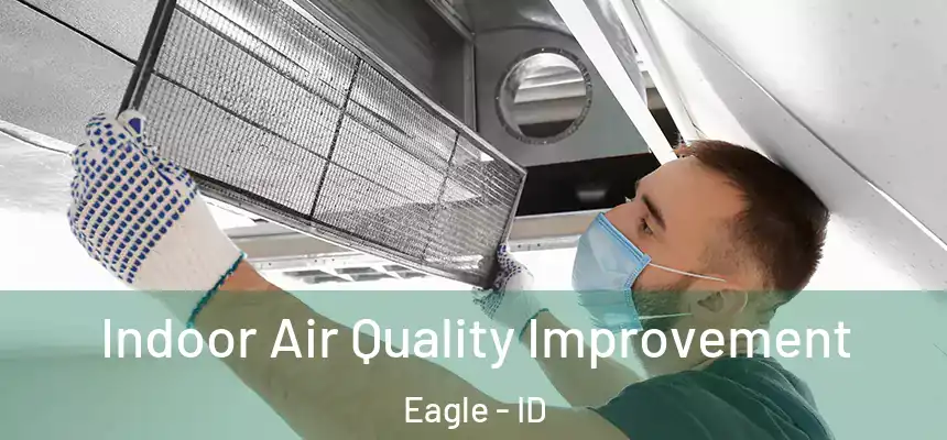  Indoor Air Quality Improvement Eagle - ID
