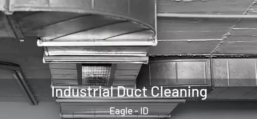  Industrial Duct Cleaning Eagle - ID