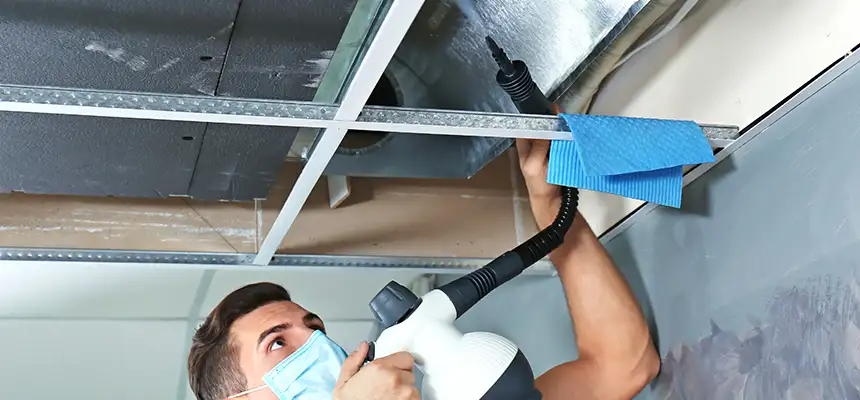 Our Air Duct Rodent Removal Services in Eagle, ID