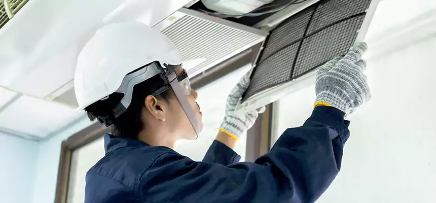 Our Mold & Mildew Removal from Air Ducts Services in Eagle, ID