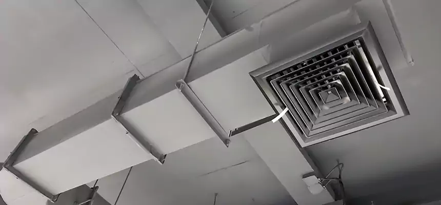 Our Pest Removal From Ducts Services in Eagle, ID