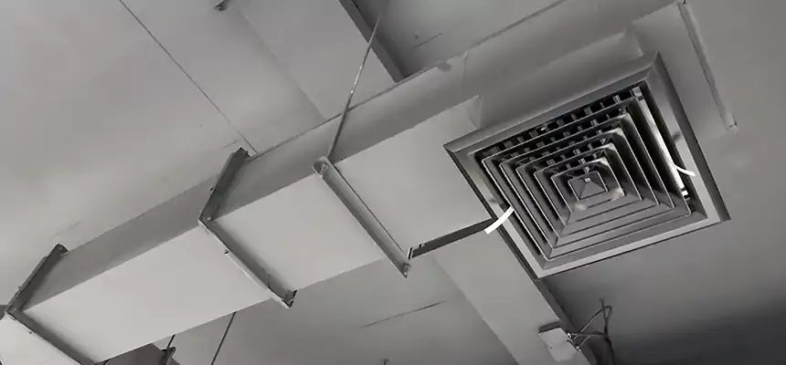 Our Rodent Droppings In Vents Services in Eagle, ID