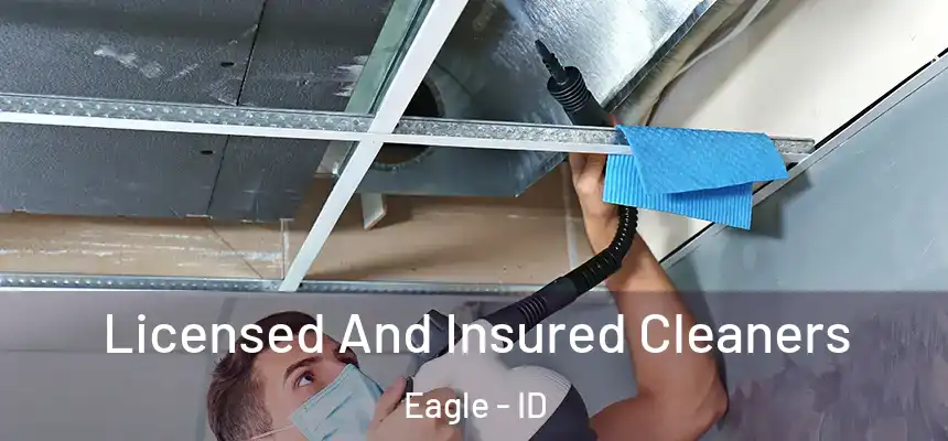 Licensed And Insured Cleaners Eagle - ID
