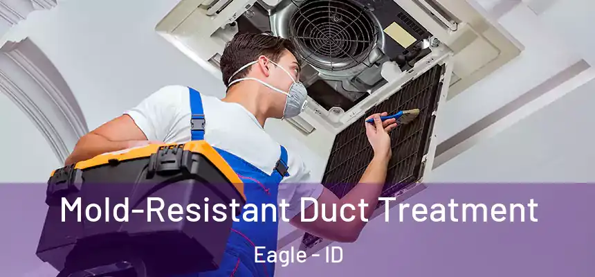  Mold-Resistant Duct Treatment Eagle - ID