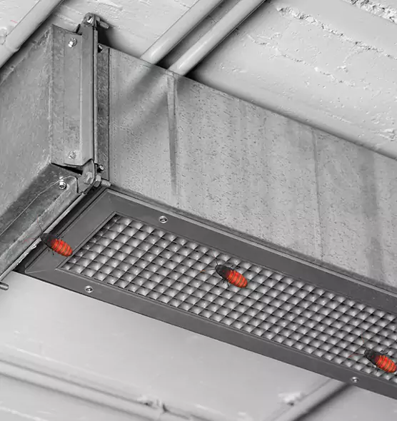 About Air Duct Cockroach Removal in Eagle, ID