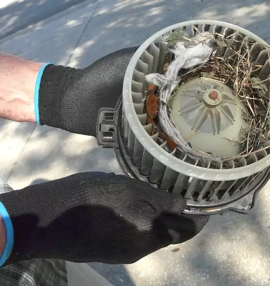 About Air Duct Rat Removal in Eagle, ID