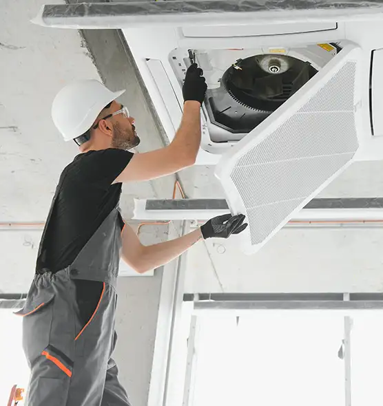 About Air Duct Rodent Removal in Eagle, ID