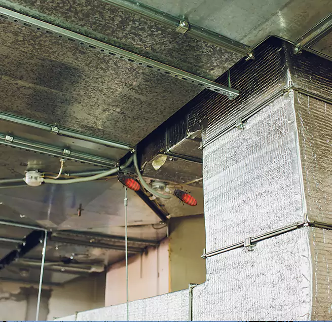 Why Homeowners & Businesses Trust Us in Eagle, ID?