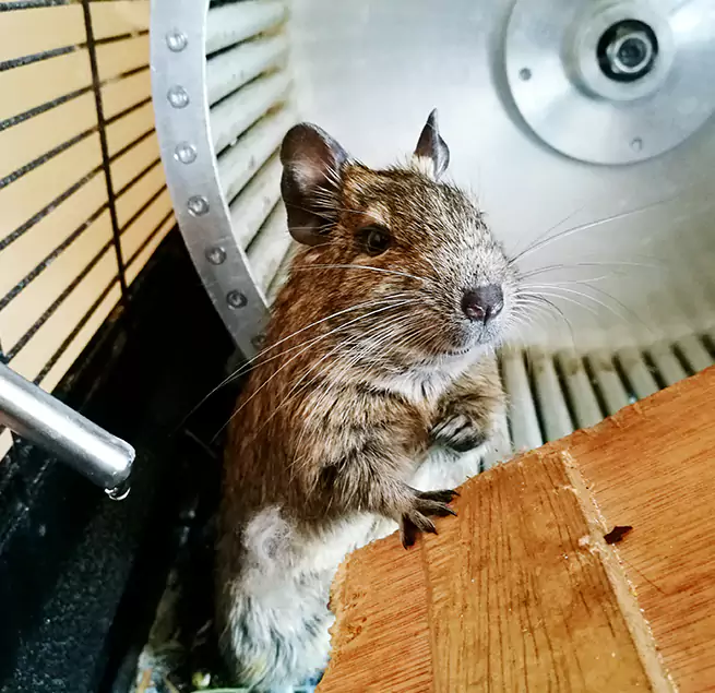 Why Homeowners & Businesses Trust Us Eagle, ID?