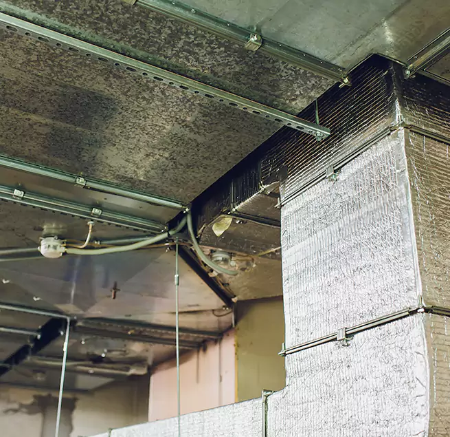 Why Homeowners & Businesses Trust Us in Eagle, ID?